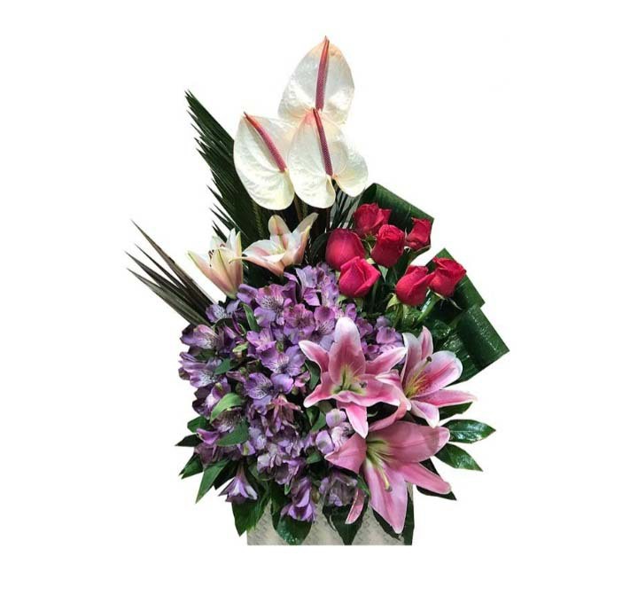 خرید و قیمت باکس گل بادصبا سفارش باکس گل ارزان گل ایرانی خرید آنلاین باکس گل خرید باکس گل با ارسال رایگان 