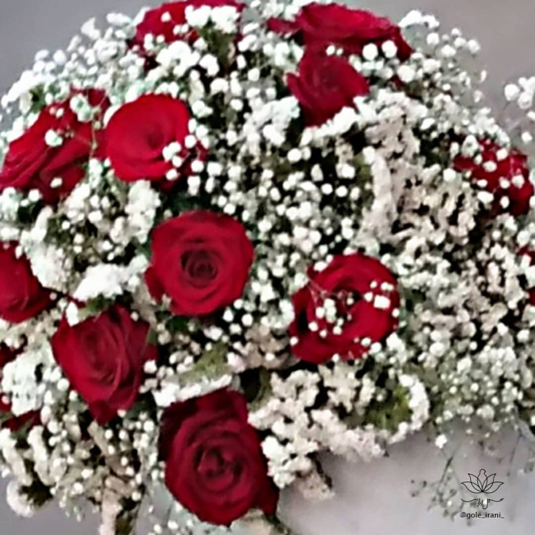  گل ایرانی سفارش آنلاین باکس گل رز ارسال رایگان باکس تولد سالگرد ازدواجمون مبارک هدیه فارغ التحصیلی باکس گل سفید 