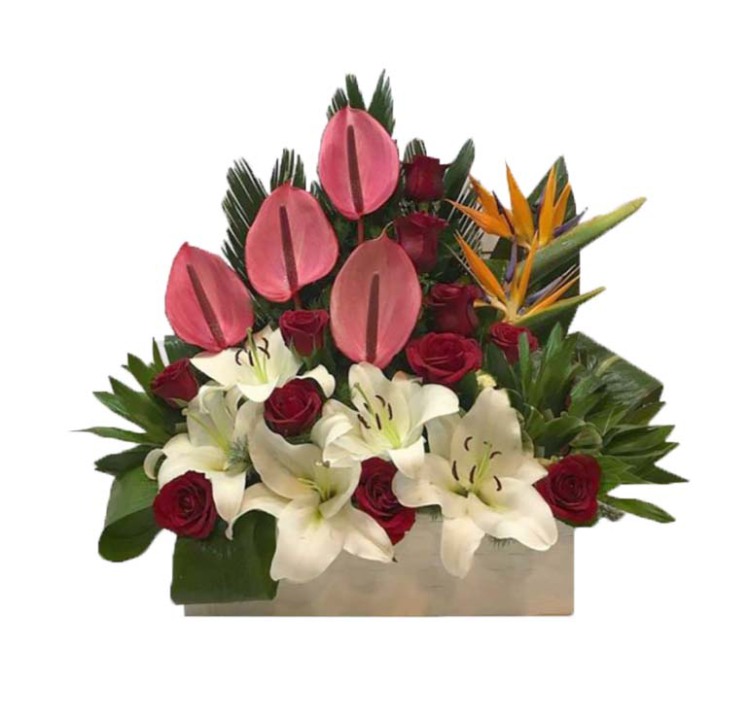 خرید و قیمت باکس گل آرام جان سفارش باکس گل ارزان ارسال رایگان باکس گل گل ایرانی قیمت باکس گل آنتوریوم 